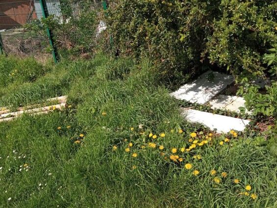 Des planches éparpillées dans l'herbe